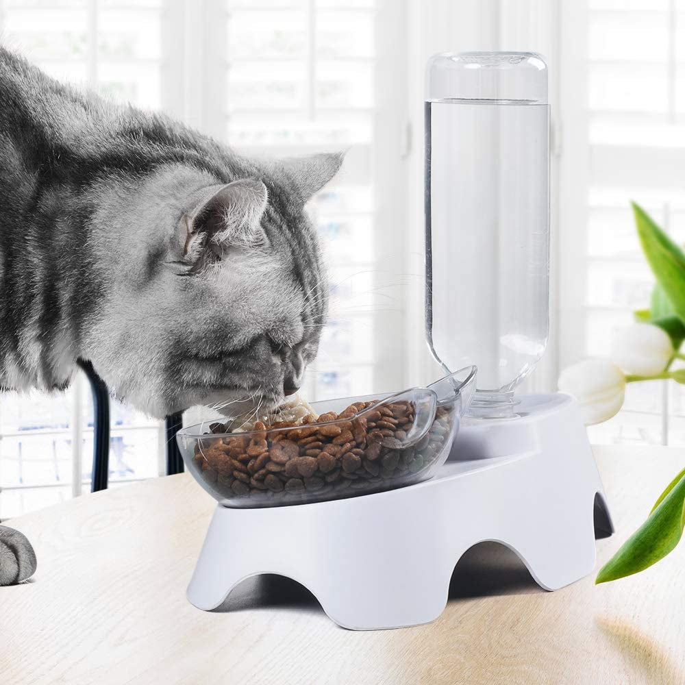 Double Dog Cat Bowls Pets Water and Food Bowl Set